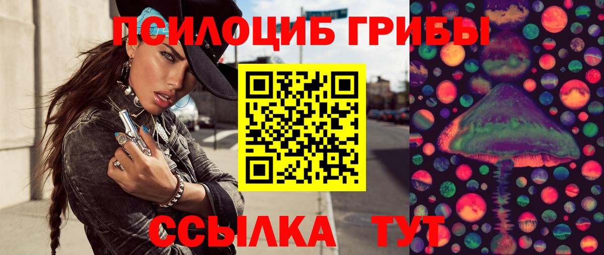 Костомукша  Псилоцибиновые грибы Cubensis  Вход с VPN 
